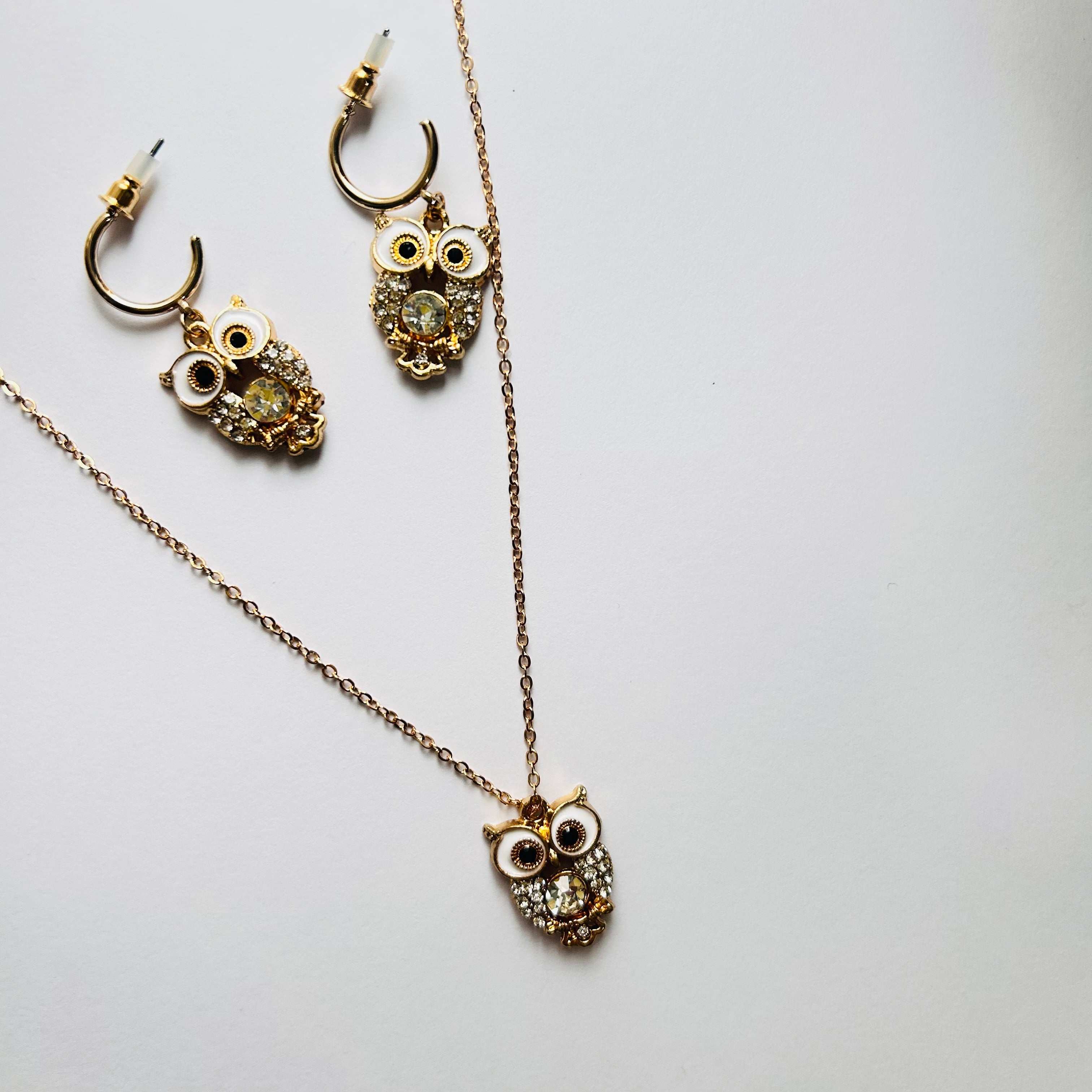 Owl Necklace and Hoop Earring Set