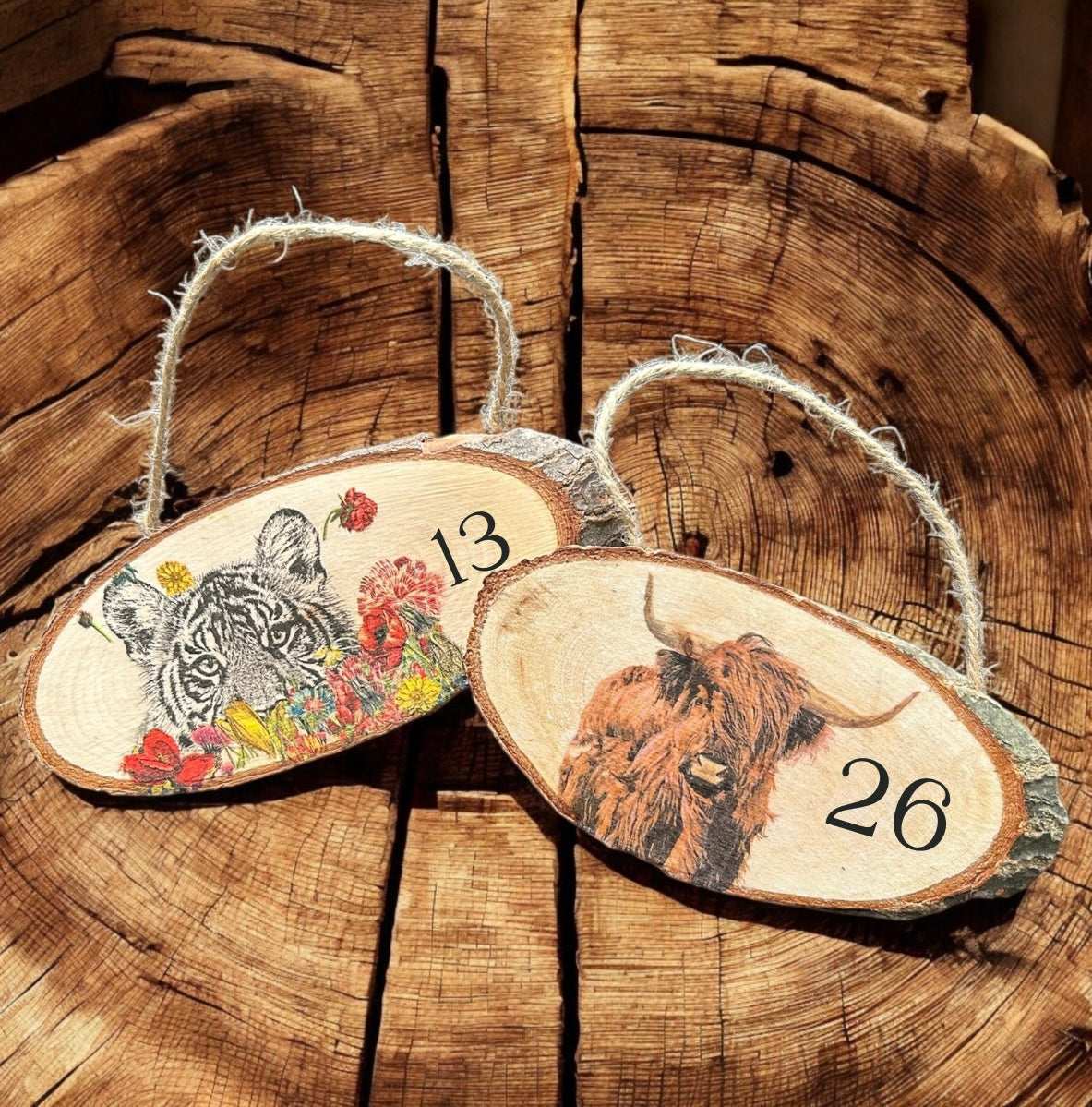 Highland Cow Hanging Plaque