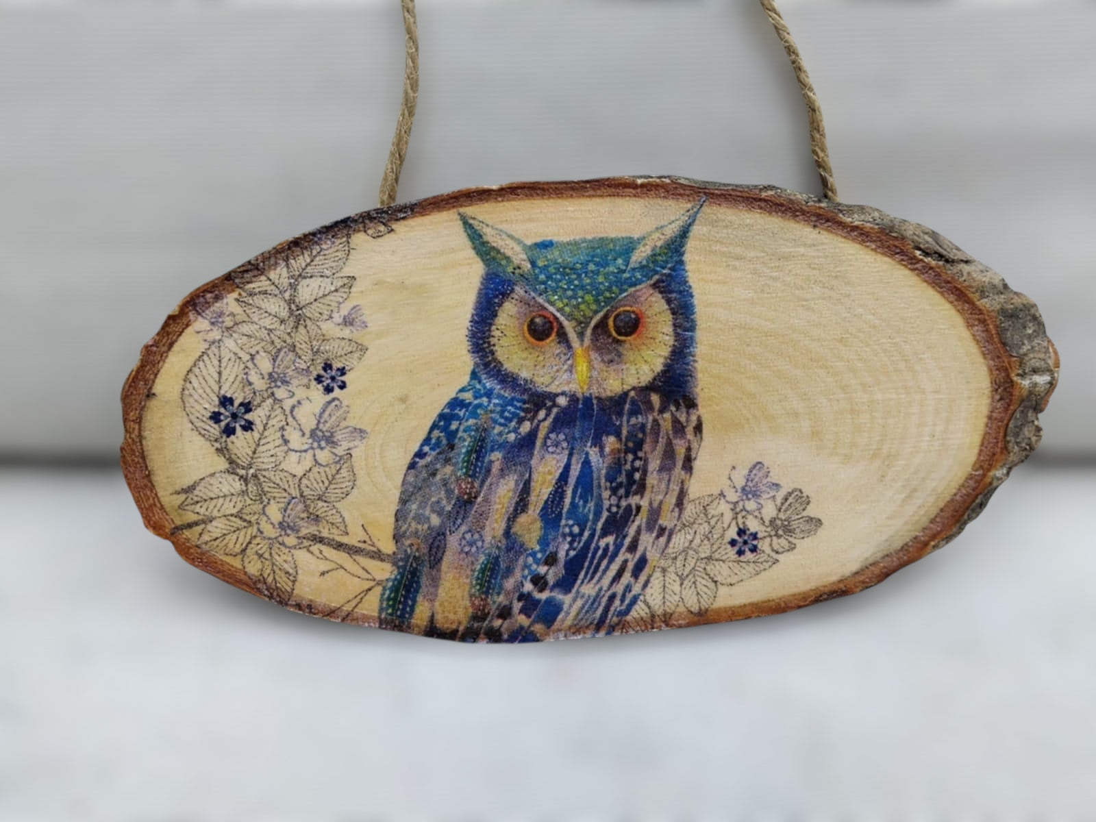Owl Hanging Plaque