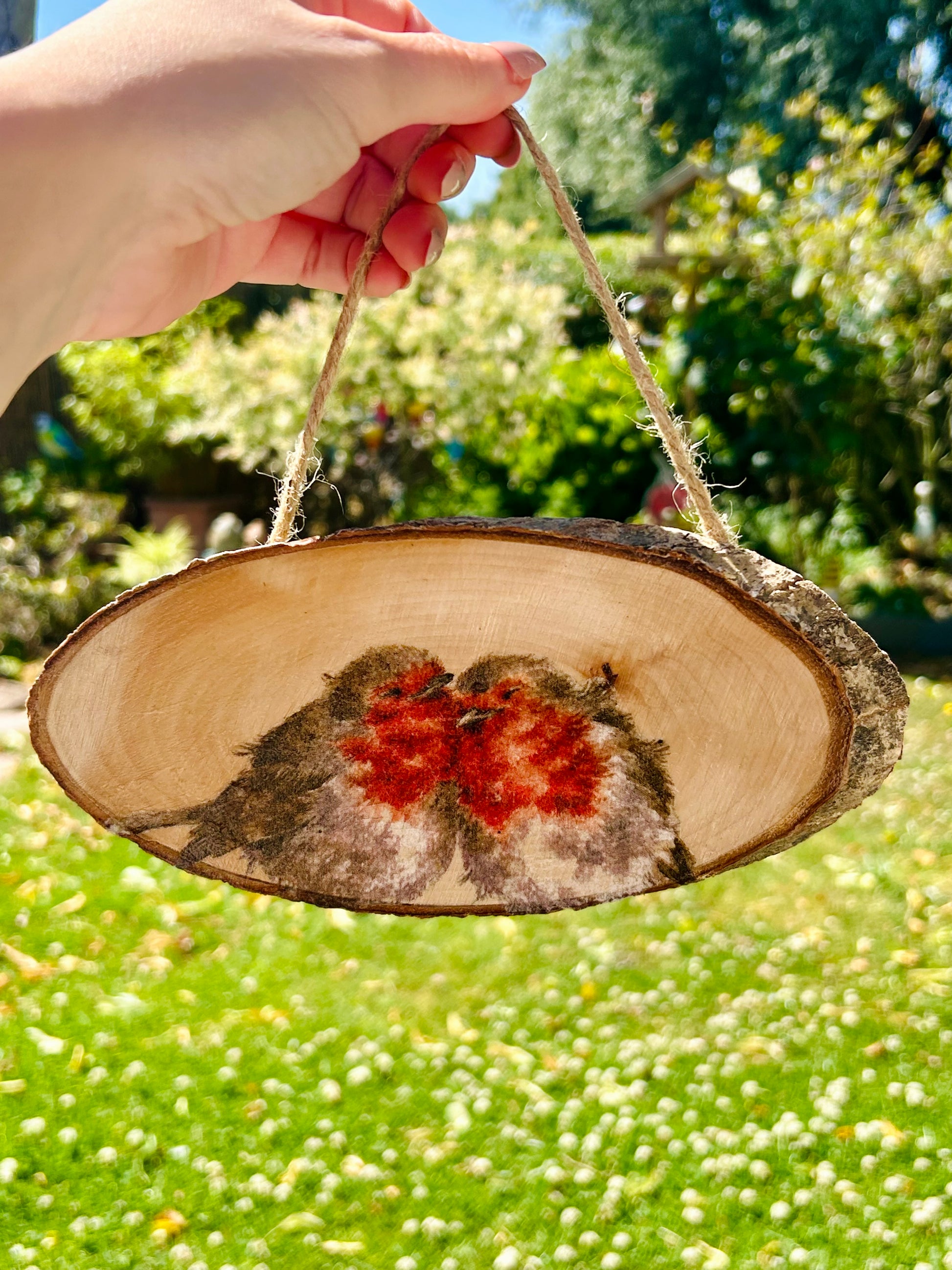 Robin Wooden Hanging door Plaque