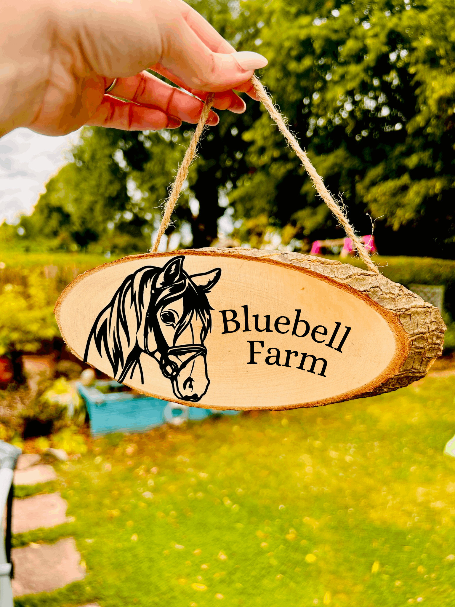 Horse Wooden Hanging door Plaque