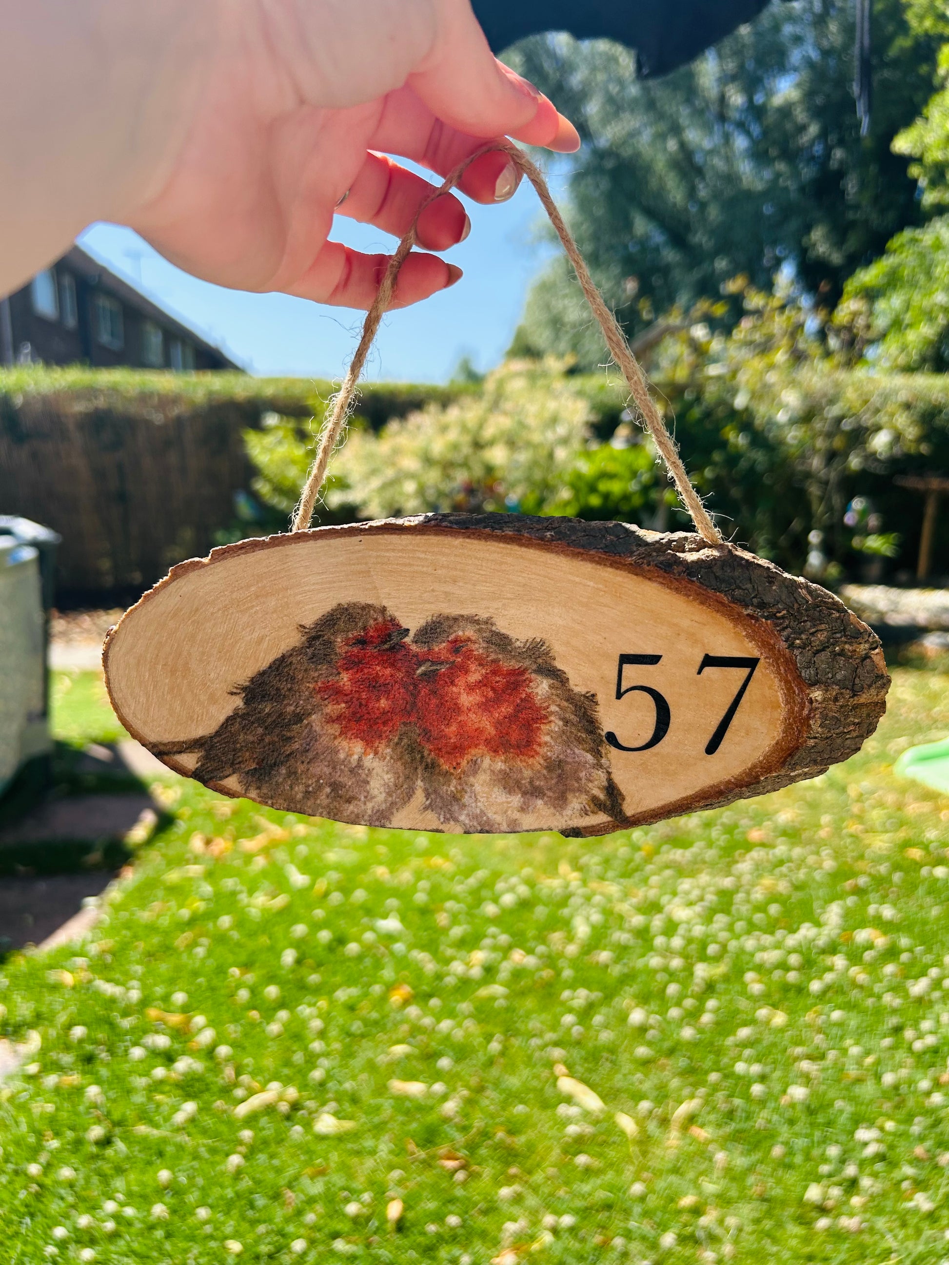 Robin Wooden Hanging door Plaque