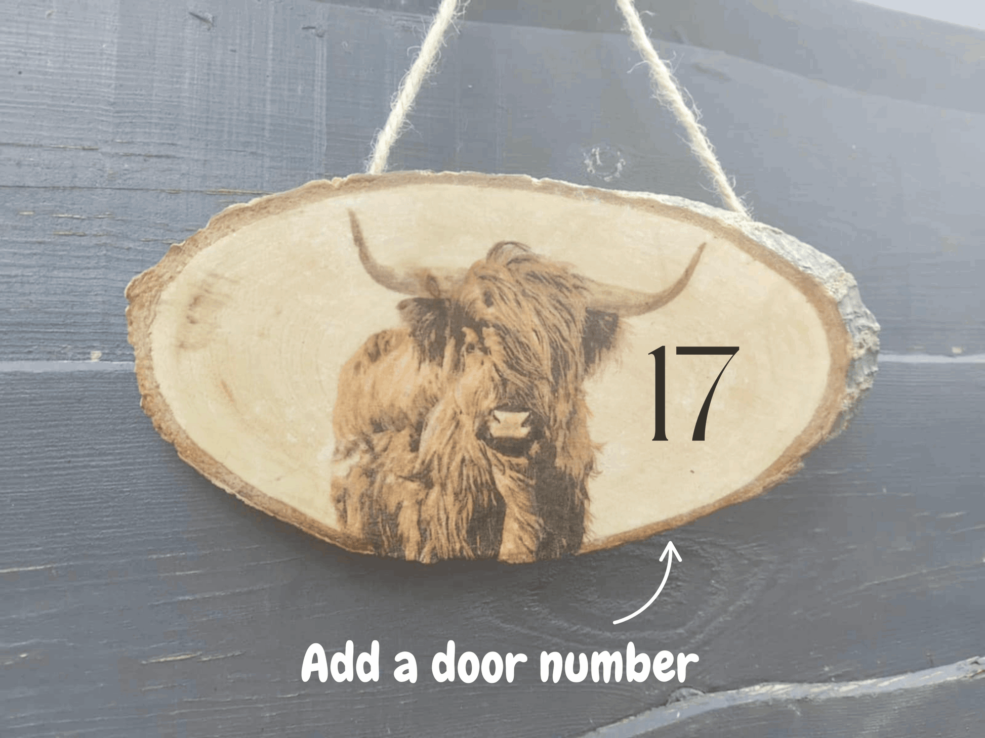 Highland Cow Hanging Plaque