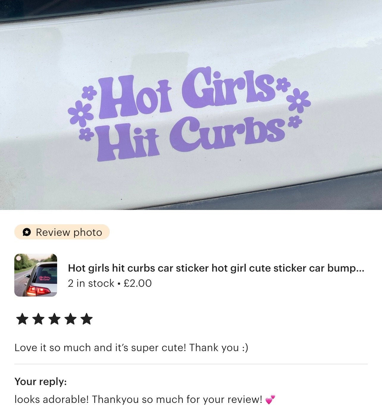 Funny Car Sticker | Hot Girls Hit Curbs | Car Sticker | Colour Options | Cute Car Sticker | 6 8 inches | Pink Car Sticker | Girl Decal